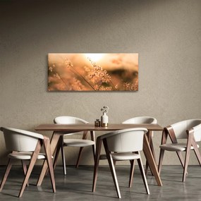 Obraz - Tráva na slnku (120x50 cm)