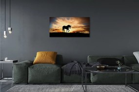 Obraz na plátne Unicorn sunset 125x50 cm