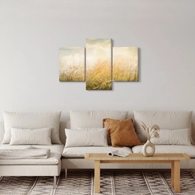 Obraz - Pole na jeseň (90x60 cm)