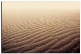Obraz na plátne - Piesok v púšti 1127A (100x70 cm)