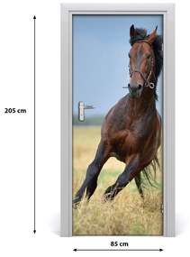 Samolepiace fototapety na dvere Kôň na poli 85x205 cm
