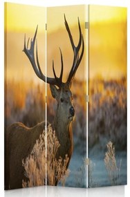 Ozdobný paraván Západ slunce s jelenem - 110x170 cm, trojdielny, obojstranný paraván 360°