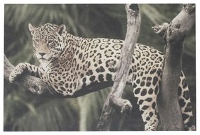 Nástenný panel Jungle ležiace panter - 35 * 45 * 1cm