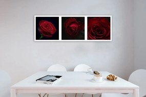 Obraz na plátně Sada červených růží - 150x50 cm