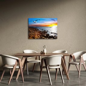 Obraz - Čajka letiaca nad pobrežím (70x50 cm)