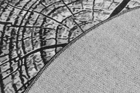 Protišmykový koberec NOVO peň / sivý kruh