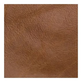 Hnedé/koňakovohnedé jedálenské stoličky v súprave 2 ks z dubového dreva Nora – Gazzda