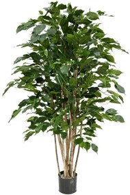 Umelá rastlina Ficus benjamina Exotica branched 120 cm