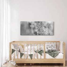Obraz - Boho pampas grass (120x50 cm)