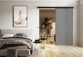 Posuvné dvere BELMA - dub sonoma/čierna / 100