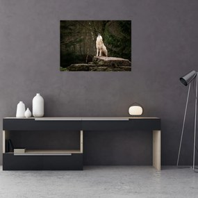 Obraz - Vytie vlka (70x50 cm)