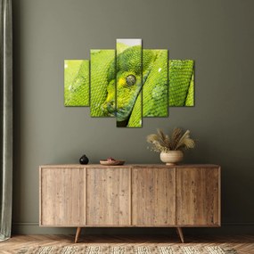Obraz hada (150x105 cm)