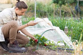 Malý záhradný fóliovník - tunel 6 x 0,5 m