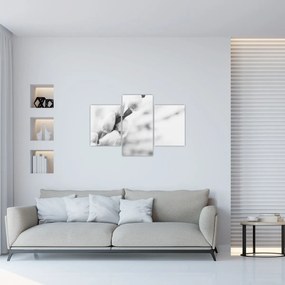 Obraz - Začiatok jari (90x60 cm)