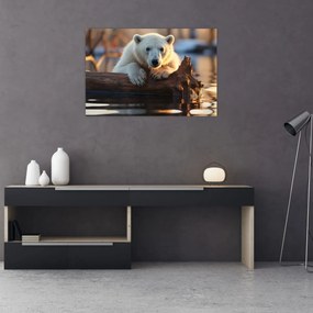 Obraz - Medveď ľadový (90x60 cm)