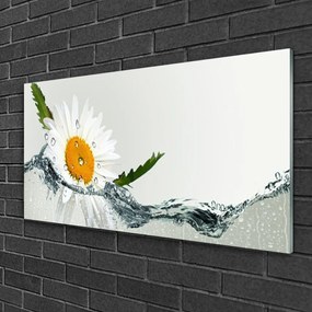 Skleneny obraz Sedmokráska vo vode 120x60 cm