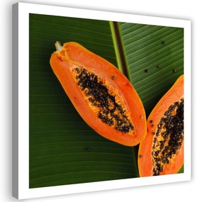 Obraz na plátně Ovocné listy papáji - 30x30 cm