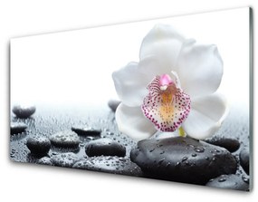 Skleneny obraz Kvet kamene umenie 125x50 cm