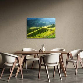 Sklenený obraz - Koncert ryžových terás (70x50 cm)