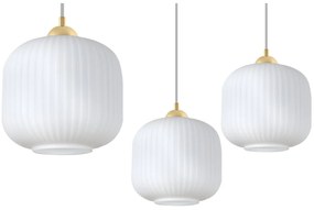 Závesné svietidlo Riffle 2, 1x biele sklenené tienidlo, g