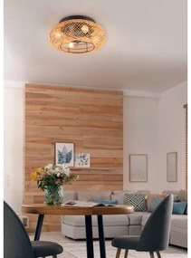 Hnedé stropné svietidlo na diaľkové ovládanie/s ventilátorom Lillesand – Trio