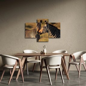 Obraz - Dve zebry (90x60 cm)