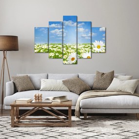 Obraz rozkvitnutej lúky s margarétkami (150x105 cm)
