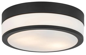 Moderné vonkajšie stropné svietidlo čierne 28 cm IP44 - Flavi