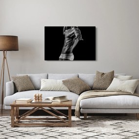 Obraz - Mužský akt (90x60 cm)
