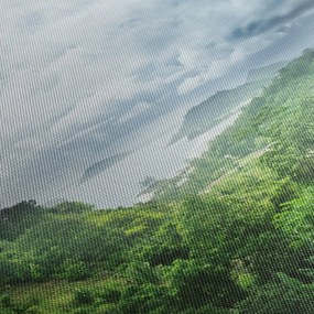 Obraz - Seychelská jungle (90x60 cm)
