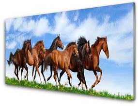 Sklenený obklad Do kuchyne Cválajúci kone na pastvine 140x70 cm