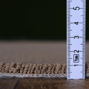 AladinWorld Expres, AKCIA: 160x200 cm Kusový koberec Royal Lux 40 - obšitý zo všetkých strán, šíře, hnedá, fusion back, detská izba