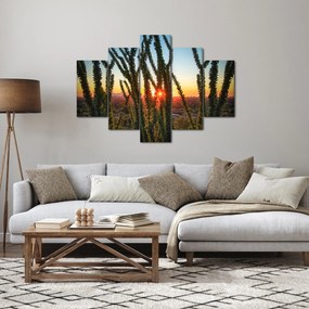 Obraz - Rastliny (150x105 cm)