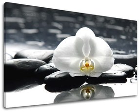 Obraz na stenu FENG SHUI | rôzne rozmery