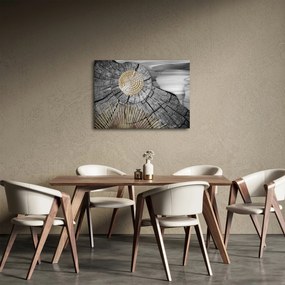 Obraz - Kmeň stromu v koláži (70x50 cm)
