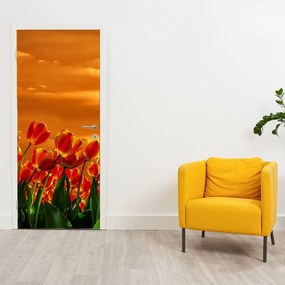 Fototapeta na dvere - Rozkvitnutý lán s tulipánmi (95x205cm)