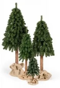 Limpol Vianočný stromček Horský smrek 2,10 m