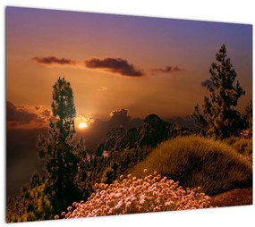 Obraz prírody pri západe slnka (70x50 cm)