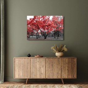 Obraz - Červené stromy, Central Park, New York (90x60 cm)
