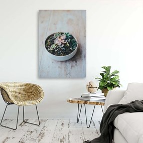 Obraz na plátně Zátiší rostlin - 60x90 cm