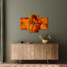 Obraz - Veľké tekvice (90x60 cm)