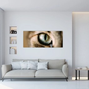 Obraz - Mačacie oko (120x50 cm)