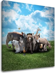 Obraz na stenu ZVIERATÁ_047-12