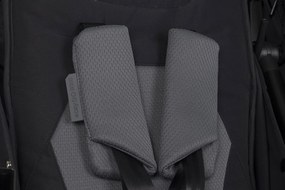 Súrodenecký kočík EasyGo Echo Ebony Black