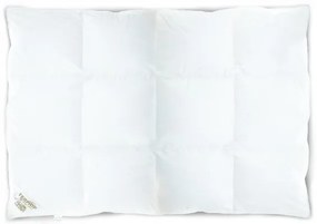 Detský paplónik Premium 130x90 cm
