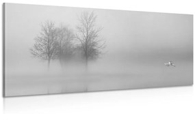 Obraz stromy v hmle v čiernobielom prevedení Varianta: 100x50