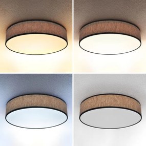 Brilagi - LED Stmievateľné stropné svietidlo ADELA LED/48W/230V 3000-6500K + DO