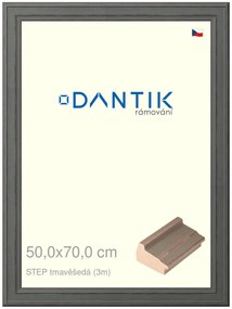 DANTIK rám na obraz 50x70 | STEP tmavěšedá (Plexi Čiré)