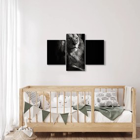 Obraz - Lev (90x60 cm)