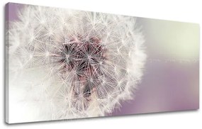 Obraz na stenu PANORÁMA KVETY | rôzne rozmery